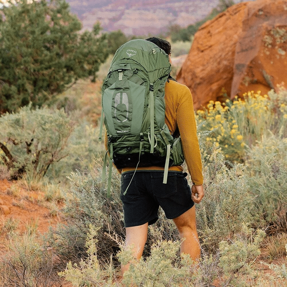 Osprey Atmos vs Deuter Aircontact: The Classic Multi-Day Backpack Duel